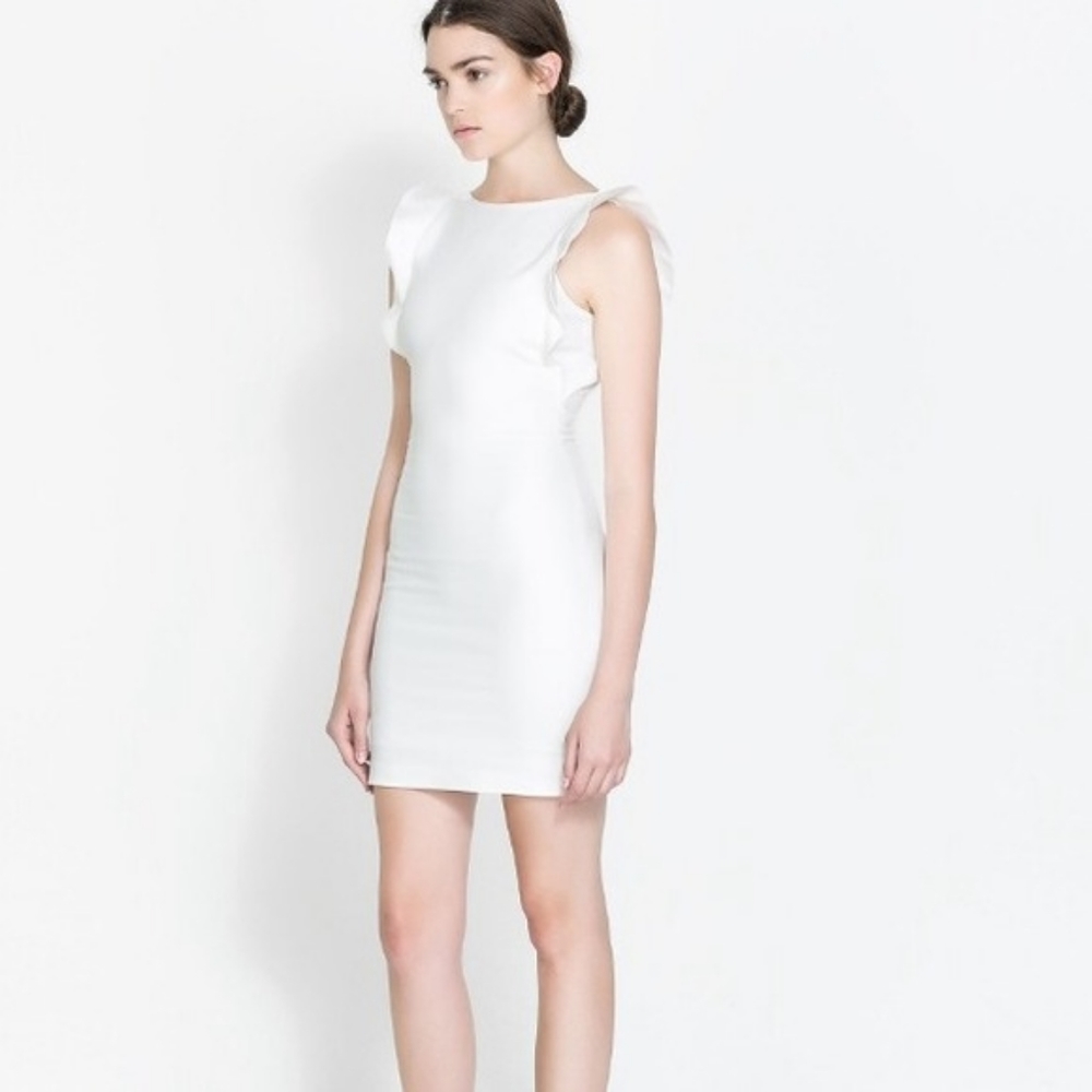 Zara Mini Dress with Ruffle Sleeves